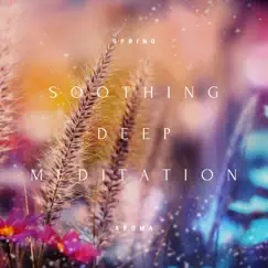 Soothing Deep Meditation and Yoga Breathing Exercises by Spring Aroma album reviews, ratings, credits