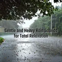 Soothing Rain - Stress Relief Song Lyrics