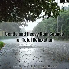 Relaxing Rain - Deep Sleep Song Lyrics