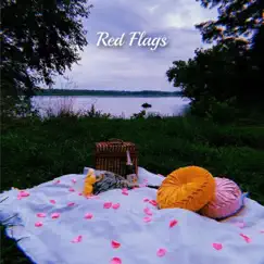 Red Flags - Single by Anya Gupta album reviews, ratings, credits