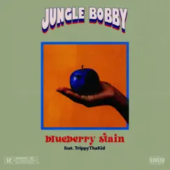 Blueberry Stain (feat. TrippythaKid & lentra) Song Lyrics
