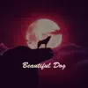 Beautiful Dog - Single album lyrics, reviews, download