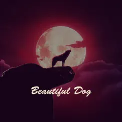 Beautiful Dog - Single by Oso Tunes album reviews, ratings, credits