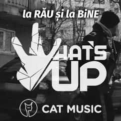 La RAU si la BINE Song Lyrics
