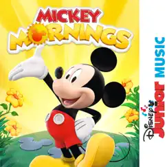 Make It a Mickey Morning Song Lyrics