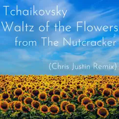 Tchaikovsky Waltz of the Flowers (Tropical House Remix) Song Lyrics