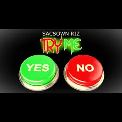 Try Me - Single by Sacs Own Riz album reviews, ratings, credits