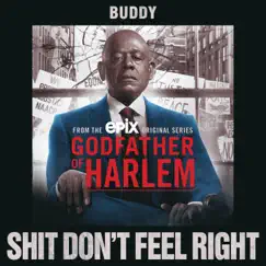 Shit Don't Feel Right (feat. Buddy) Song Lyrics