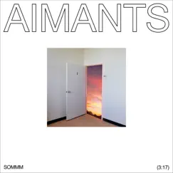 AIMANTS (feat. Ariane Moffatt & D R M S) - Single by SOMMM album reviews, ratings, credits