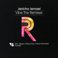 Vibe - The Remixes - Single by Jericho Ismael album reviews, ratings, credits