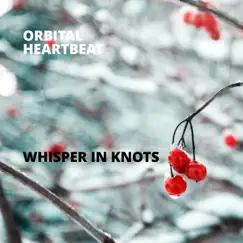 Whisper in Knots - Single by Orbital Heartbeat album reviews, ratings, credits