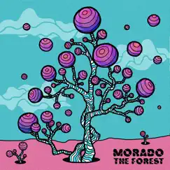 The Forest - EP by Morado album reviews, ratings, credits