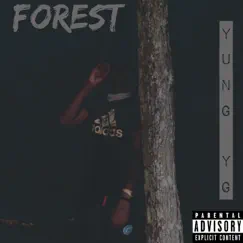 Forest Song Lyrics