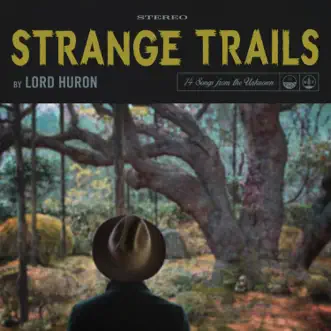 Download The Night We Met Lord Huron MP3