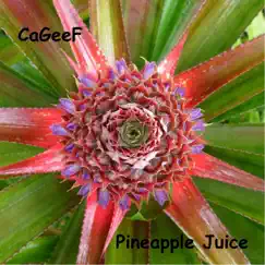 Pineapple Juice Song Lyrics