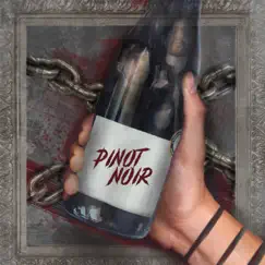 Pinot Noir Song Lyrics