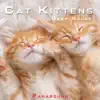 Cat Kittens (Deep House) - Single album lyrics, reviews, download