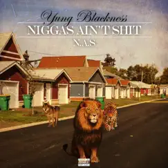 N.A.S. - Single by Yung Blackness album reviews, ratings, credits