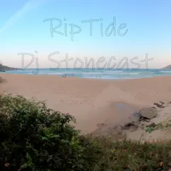 Riptide - Single by DJ Stonecast album reviews, ratings, credits