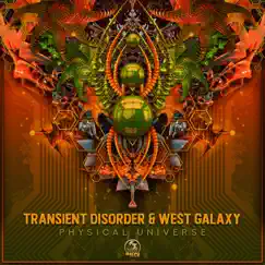 Physical Universe - Single by Transient Disorder & West Galaxy album reviews, ratings, credits