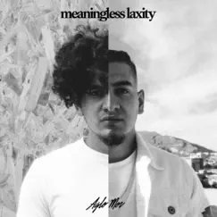 Meaningless Laxity - Single by Aglomor album reviews, ratings, credits