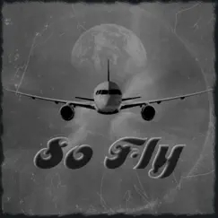 So Fly - Single by Noni Spitz & Al Styles Noetic album reviews, ratings, credits