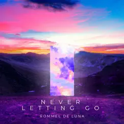 Never Letting Go - Single by Rommel De Luna album reviews, ratings, credits