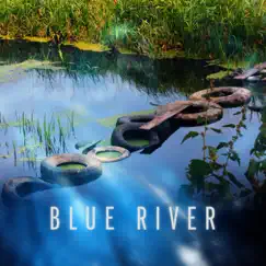 Blue River - Single by Steve Williamson album reviews, ratings, credits