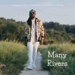 Many Rivers (feat. Bloodfireclothing) - Single by Tamarley album reviews, ratings, credits