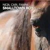 Smalltown Boy - Single album lyrics, reviews, download