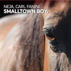 Smalltown Boy - Single by Neja & Carl Fanini album reviews, ratings, credits