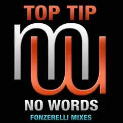 No Words (Fonzerelli Funky Synth Edit) - Single by Top Tip album reviews, ratings, credits