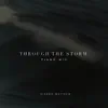 Through the Storm (Piano Mix) - Single album lyrics, reviews, download