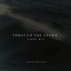 Through the Storm (Piano Mix) Song Lyrics