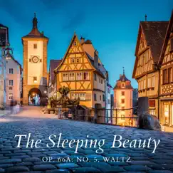 The Sleeping Beauty, Op. 66a: No. 5, Waltz - Single by Orchestra da Camera Fiorentina & Giuseppe Lanzetta album reviews, ratings, credits