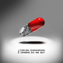 Where Do We Go? - Single by Sevan Shahmirian album reviews, ratings, credits