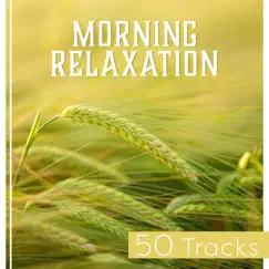 Endless Relaxation Journey Song Lyrics