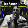 Joe Rogan (Dmt) [Freestyle] - Single album lyrics, reviews, download