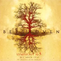 Symphony No. 5 Op. 67: I Allegro con Brio Song Lyrics