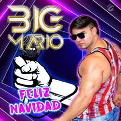 Feliz Navidad - Single by Big Mario album reviews, ratings, credits
