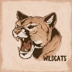 Wildcats Song Lyrics