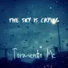The Sky Is Crying - Single album lyrics, reviews, download