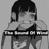 Sound of Wind - Single album lyrics, reviews, download