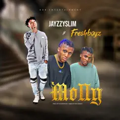 Molly (feat. FreshBoyz) - Single by Jayzzyslim album reviews, ratings, credits