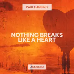 Nothing Breaks Like a Heart (Acoustic) Song Lyrics