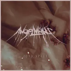 2013 Split - Single by Angelmaker album reviews, ratings, credits