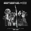 What I Been Thru (feat. Lil Herb) - Single album lyrics, reviews, download