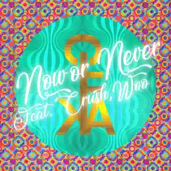 Now or Never (feat. Crush & Woo) Song Lyrics