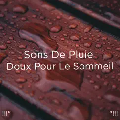 Sons De Soulagement De L'anxiété Song Lyrics