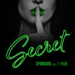 Secret (feat. T-Pain) Song Lyrics